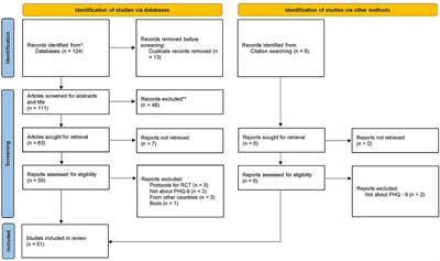 Frontiers  Psychometrics of the Patient Health Questionnaire (PHQ9